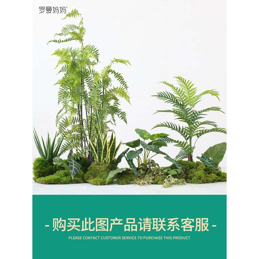 罗曼妈妈北欧风仿真植物装饰树文竹蕨假绿植盆栽室内大型落地盆景