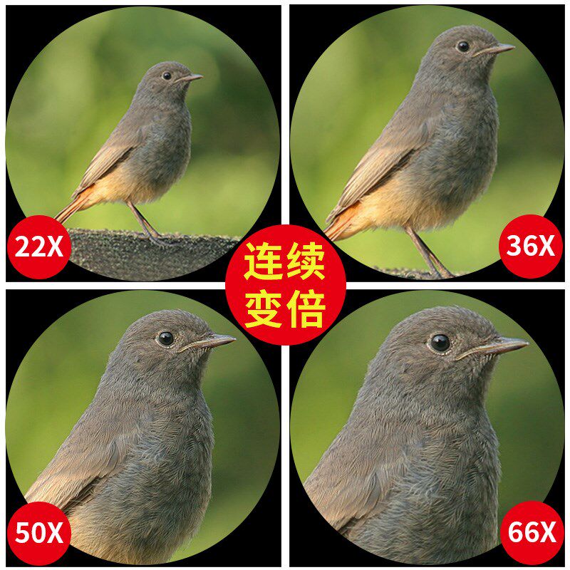 星特朗单筒望远镜高倍高清微光夜视10000专业户外ED远方观鸟镜