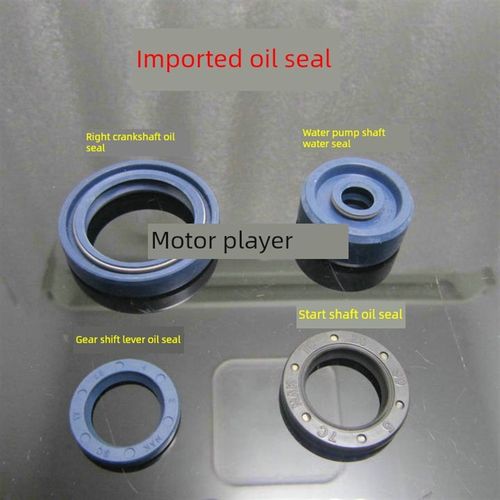 Tzr125系列右曲轴油封,齿轮杆油封,水泵轴水封,起动轴油封进口