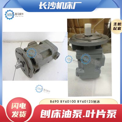 长沙机牀厂B690 BY60100 BY60125长沙刨牀专用油泵叶片泵