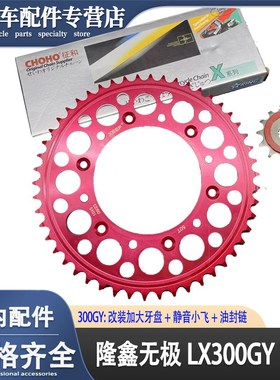 适用改装隆鑫LX300GYD无极300GY静音小飞加大链盘牙盘油封链条件