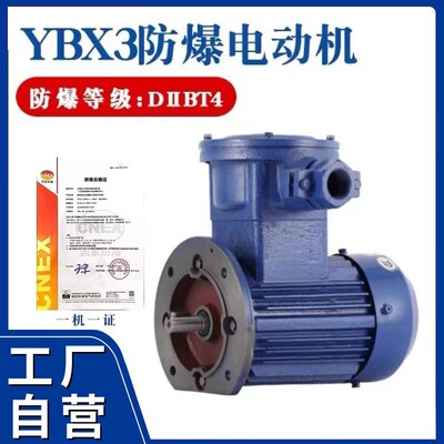 YBX3防爆电动机气体隔爆BT4三相380铜芯马达矿用煤安立式B5