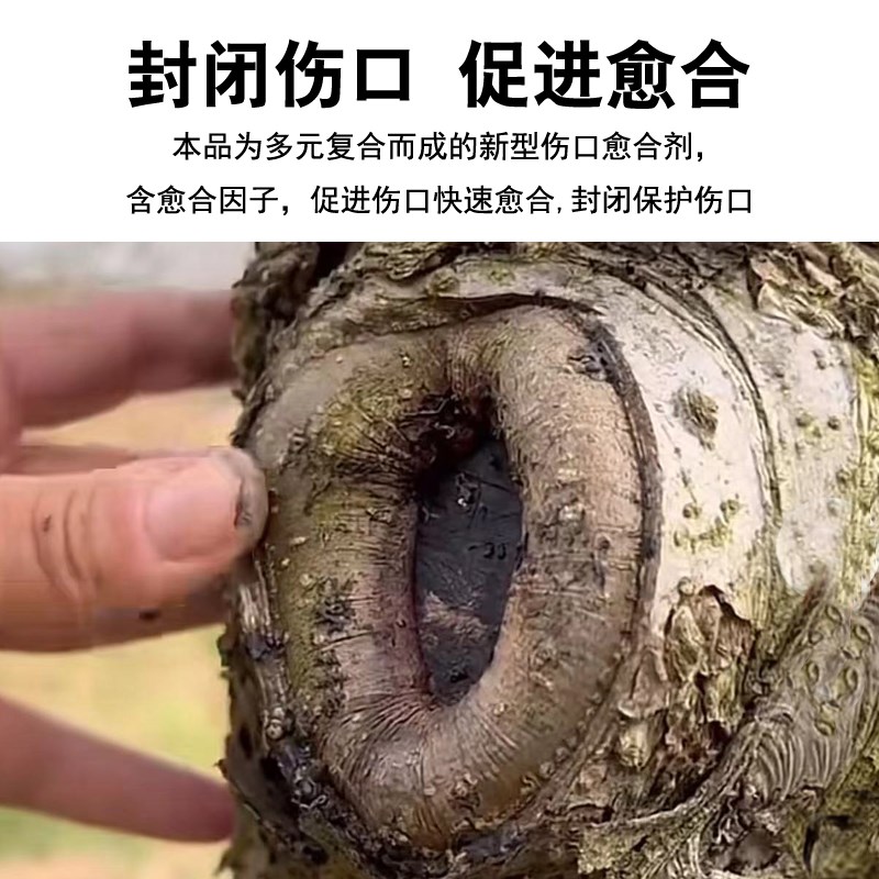 嫁愈植物剂愈伤涂膜剂s盆栽果盆景树木嫁接修剪伤愈膏封口