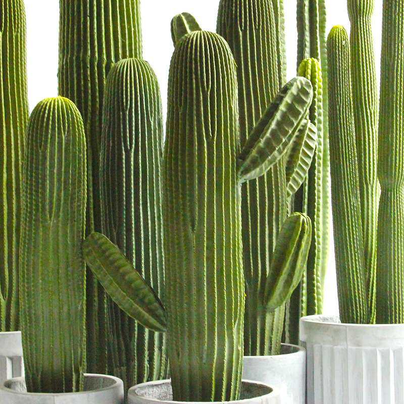 仿真仙人掌神龙木仙人柱大型量天尺盆栽景假热带沙漠植物室内装饰