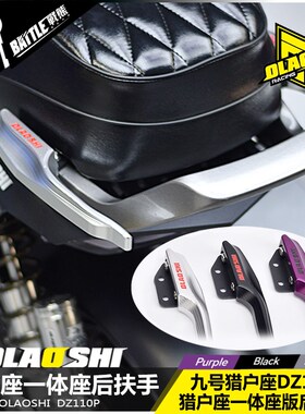 适用于九号猎户座Dz110pro版后扶手改装欧老师短尾直上一体座配件