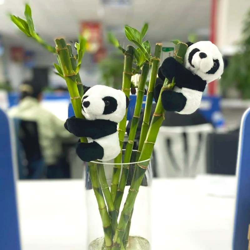 熊猫夹子玩偶小挂件转运竹富贵竹爬树盆栽绿植装饰毛绒玩具成都