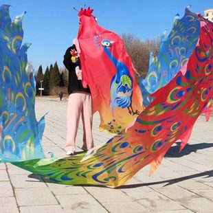 广场舞龙彩带健身龙手甩龙中老年人耍龙头钢架道具运动中国龙绸带