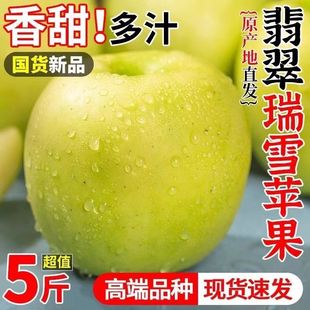 陕西瑞雪苹果富平特产西农新品种清香特甜孕妇水果青苹果脆甜多汁