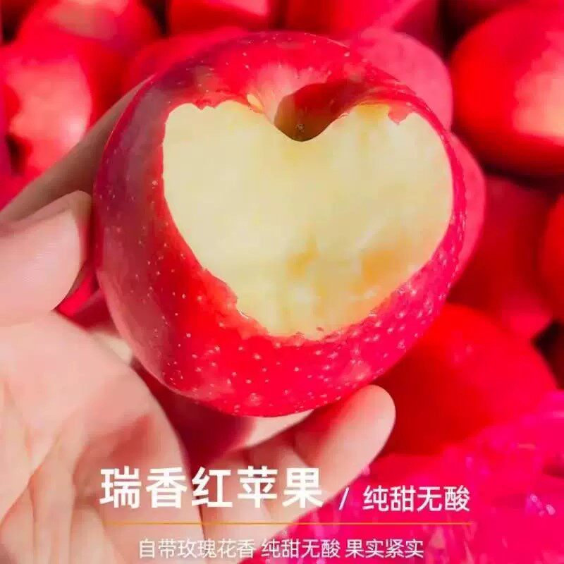 陕西瑞香红苹果富平特产玫瑰香味特甜西农新品种红苹果孕妇水果