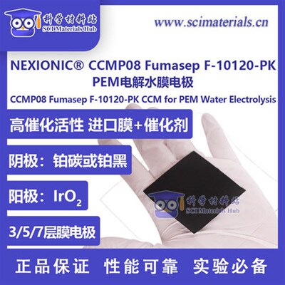 NEXIONIC CCMP08 Fumasep F-10120-PK 田中铂碳 PEM电解水 CCM