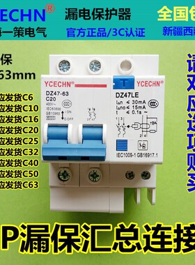 包邮2P20A漏电保护器 C20过载短路漏电跳闸保护 空开断路器带漏保