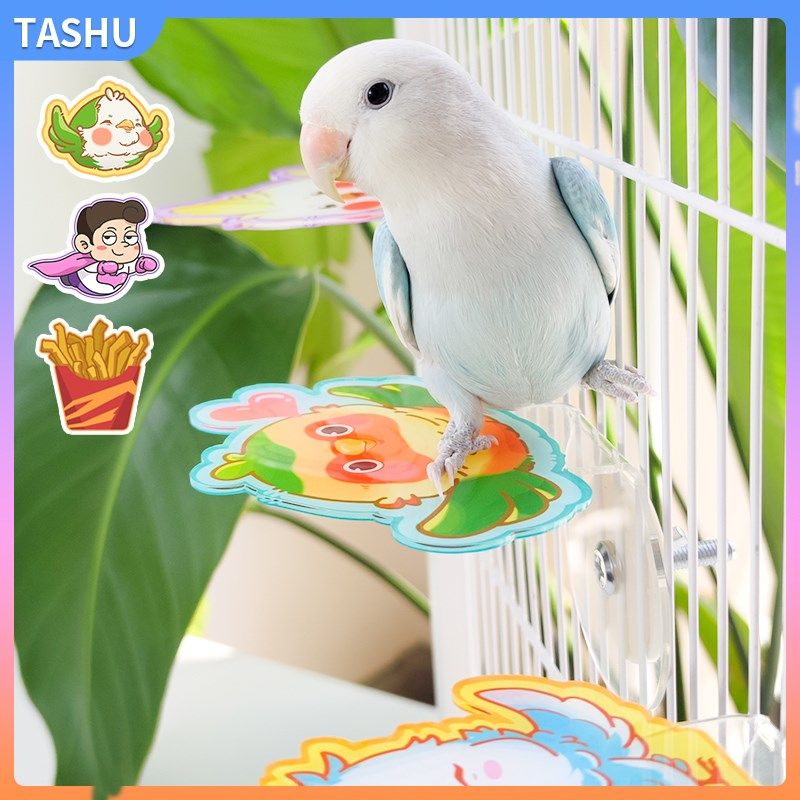 鹦鹉亚克力站台卡通栖息平台小宠造景布景趣味攀爬饲养装饰用品,乐器/吉他/钢琴/配件,其它民族乐器,淘宝优惠券,粉丝福利购,淘宝优惠卷