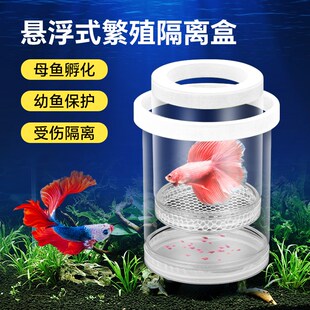 鱼缸孵化盒孔雀鱼繁殖隔离盒小鱼卵鱼苗网盒丰年虾产卵下崽分离器