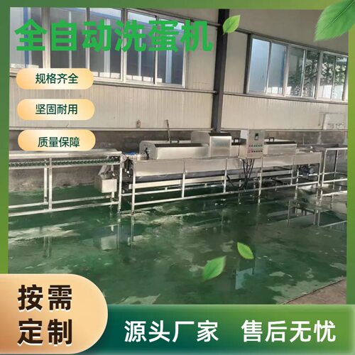咸鸭蛋清洗机全自动松花蛋包灰蛋高效蛋品清洗线鸡蛋溏心蛋洗蛋机