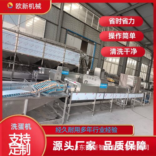 商用全自动双排洗蛋机鸡鸭鹅蛋品清洗机松花蛋咸鸭蛋保洁蛋洗蛋机
