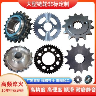 单双排大链轮伞型直齿斜齿轮大台阶机械传动工业大链轮定制加工全