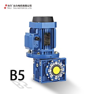 110减速机涡轮蜗杆减速器NMRV含电机380V RV30