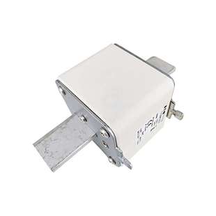 保险丝 170M6303 熔芯 170M6302 量大从优现货 现货 快速熔断器