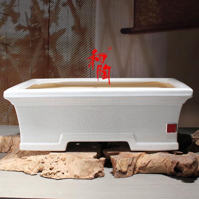 陶瓷特大号长方形花盆盆景马槽盆裂纹釉三角梅簕竹罗汉松黄杨加厚