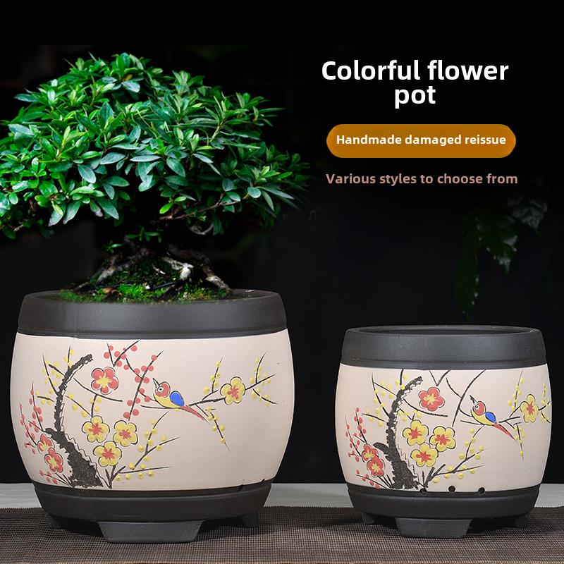 高品质紫砂Clivia花盆经典多肉仙人掌蝴蝶兰简单透气陶瓷盆景花盆