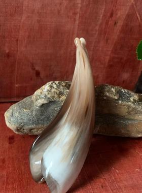 新款牛角带圆点半边随形眼刮面部按摩带圆点经络刮痧板牛角刮痧板