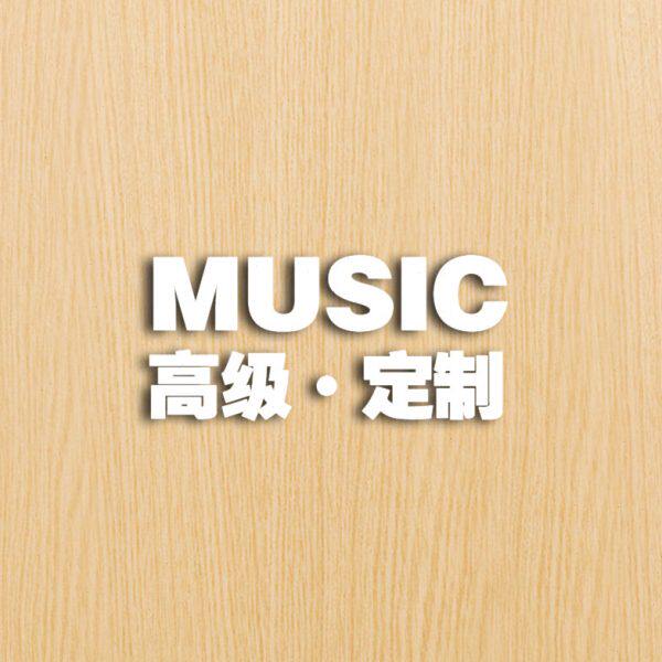 包邮车载cd 定制刻录 刻碟汽车碟片高端无损进口光碟专用水蓝光盘