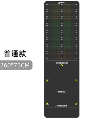 raynigel跳远测试垫家用体育中考立定跳远垫子专业防滑减震垫健身