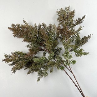 仿真柏树枝松枝崖柏枝龙柏枝插花盆景罗汉松假叶子松树枝雪杉松