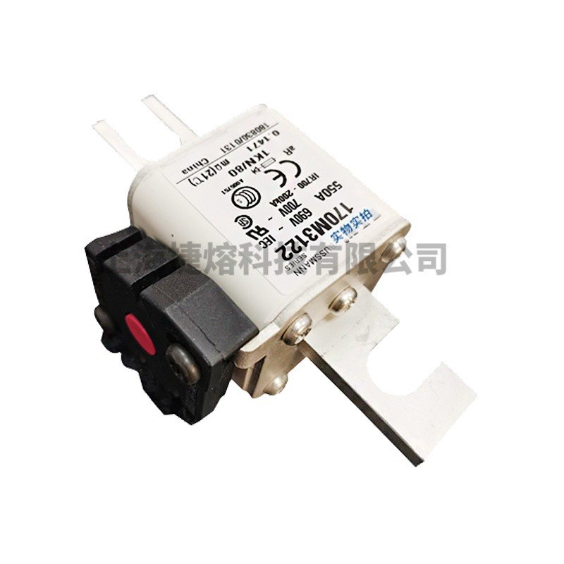 170M3122 170M3142 170M3144直流快速熔断器 电子元器件 库存充足