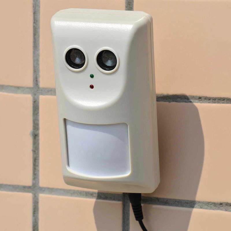 虎仔牌超声波驱狗器红外感应壁挂式驱猫狗器防猫防狗训狗止吠器图片