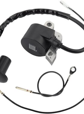 点火线圈高压包适用于FS400 FS450 FS480 4128 400 1306