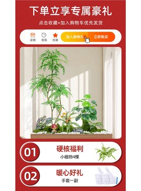 仿真绿色植物造景室内楼梯角落装饰阳台玄关橱窗生假树景观植物造