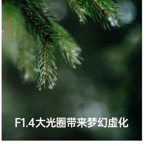 适马50mm f1.4 DG DN Art全画幅大光圈人像扫街人文微单定焦镜头