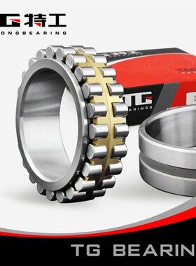特工TG圆柱滚子轴承 NJ219EM 42219EH内径95mm外径170mm宽32mm