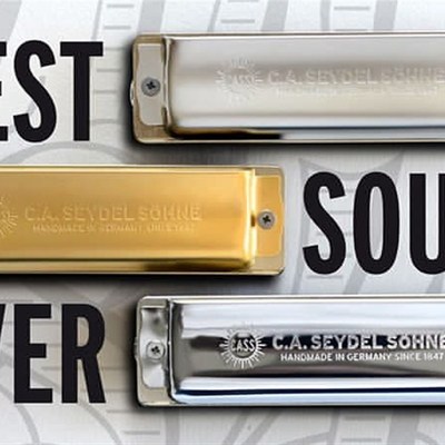 dl赛德十孔布鲁斯口琴li 笨熊低音 原装