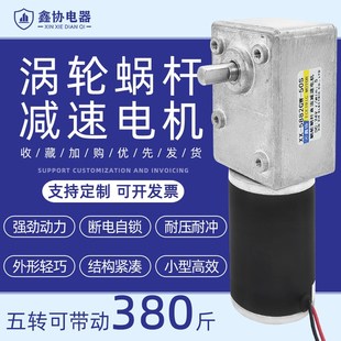 5882GW 50S蜗轮蜗杆直流减速电机12V24V微型直流低速正反转带自锁