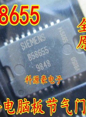 B58655 联合电M3.8.2电脑板 怠速驱动芯片节气门芯片全新