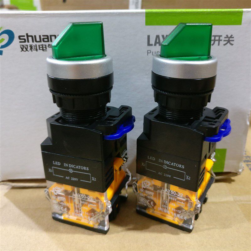 双科电气 带灯型二档选择旋钮开关 LAY50-22D-11XD