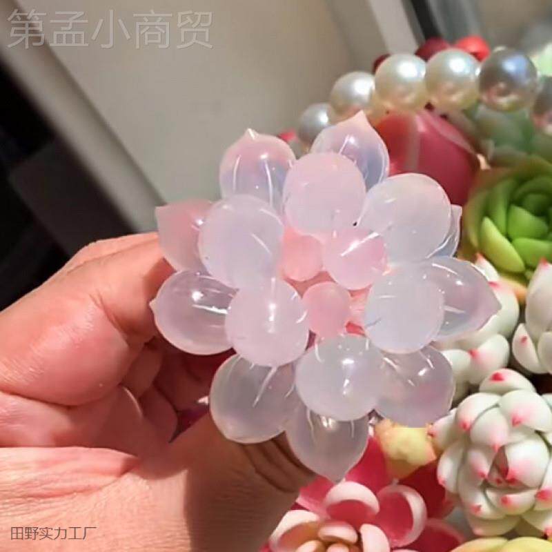 玉露多肉植物品新花冰灯露白玉莲粉色玉露室KUV内办公室盆栽