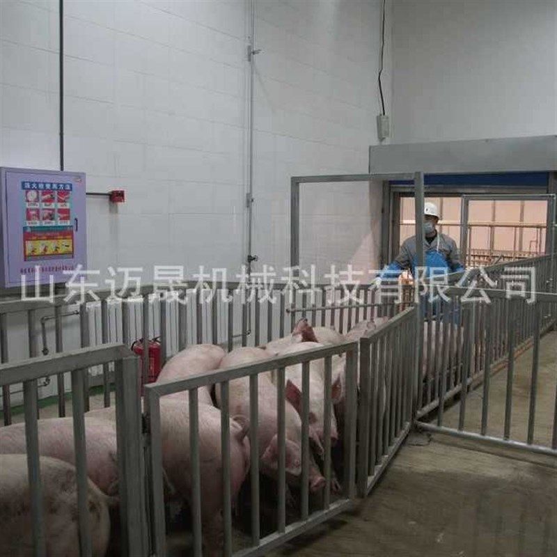 全自动生猪屠宰流水线整猪脱毛加工设备屠宰流水线屠宰场猪打毛机