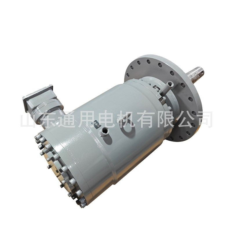 高温炉用水冷电机 耐高温高压变频调速水冷电动机 真空炉专用电机
