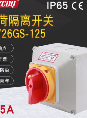 负荷隔离开关LW26GS-125/2带防水盒主控380V电源切断负载断路125A
