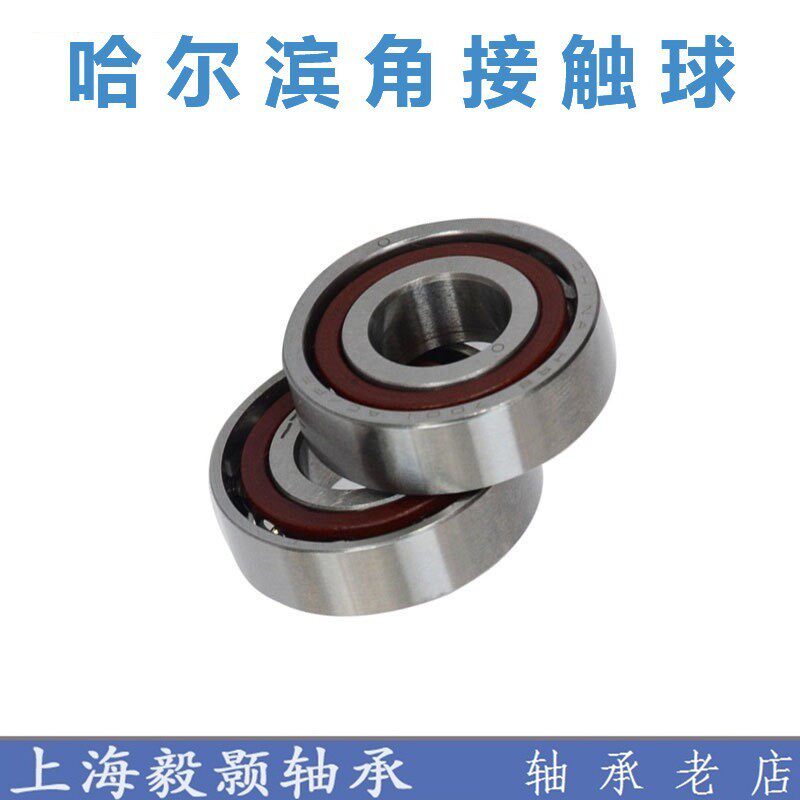 7019AC C 36119 46119J哈尔滨角接触球轴承内径95外径145厚度24mm