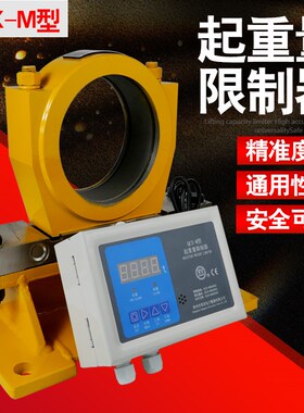 双梁起重机起重量限制器超载限重常欣QCX-M/2B/MB/3B仪表显示器屏