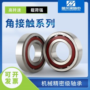 7304 7305 7306 哈尔滨角接触球轴承7301 7303 7307 7302