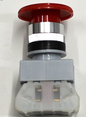 按钮开关 ALEPB-22