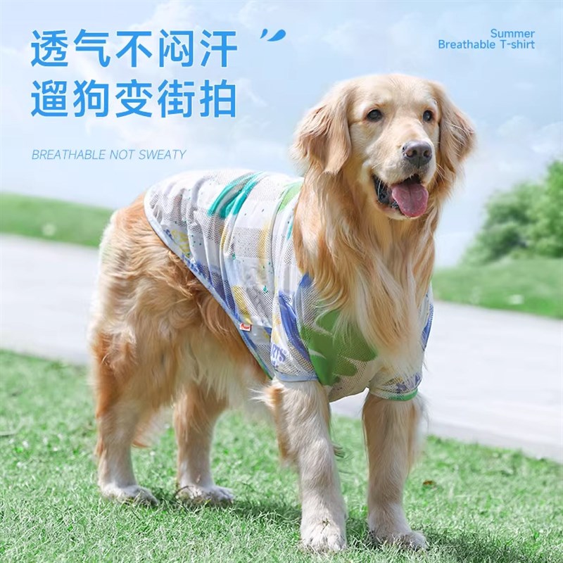 狗狗衣服a薄款中型犬边牧金毛夏天凉凉衣夏日宠物服装防脏狗狗背