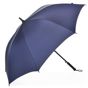 天堂伞13024E碰自动钢骨直杆晴雨伞特大加固一甩干双人商务广告伞