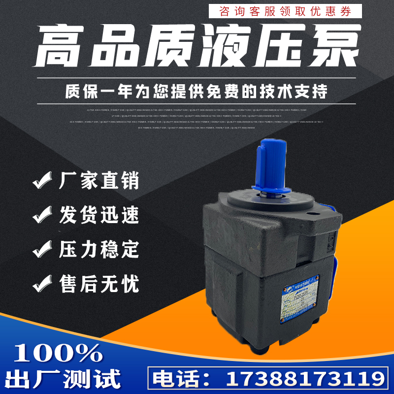 凯斯特KEISTER叶片泵PV2R1-10 14 17 19 23 25 28 31-FR液压油泵