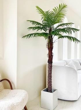 大型椰子树仿真植物仿真棕榈树热带绿植室内家居落地装饰落地盆栽